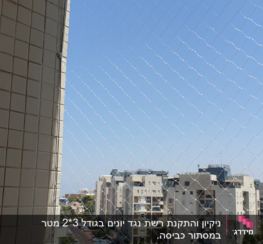 רשת למניעת כניסת יונים על חלון בניין